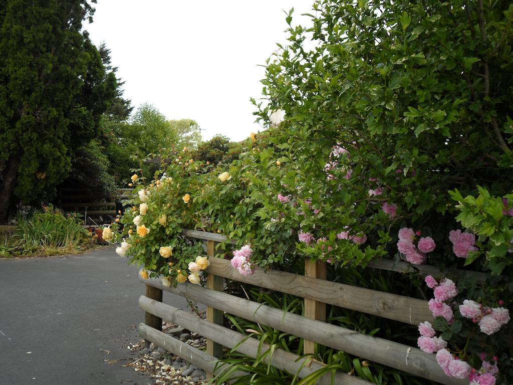 Bluebell Lodge&Cottage Hastings Exteriör bild