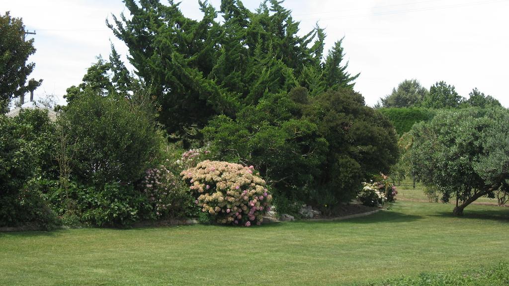 Bluebell Lodge&Cottage Hastings Rum bild